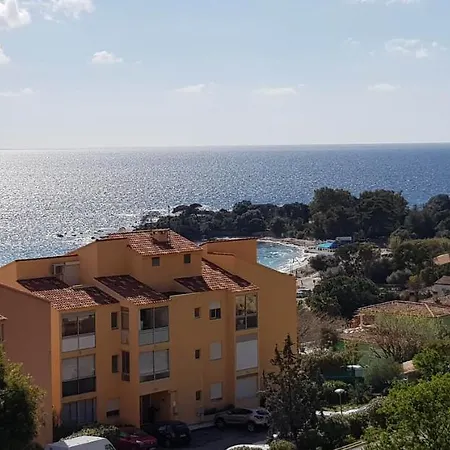 T1 Vue Bord De 아작시오